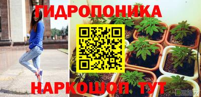 шишки Можайск