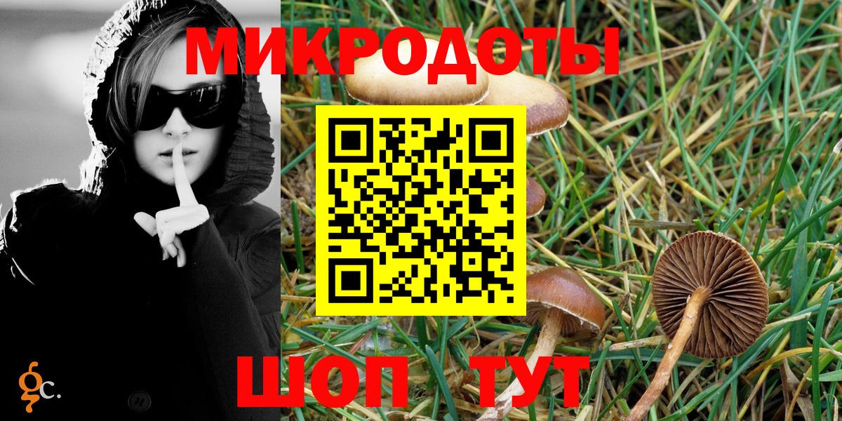 Псилоцибиновые грибы Cubensis Свободный