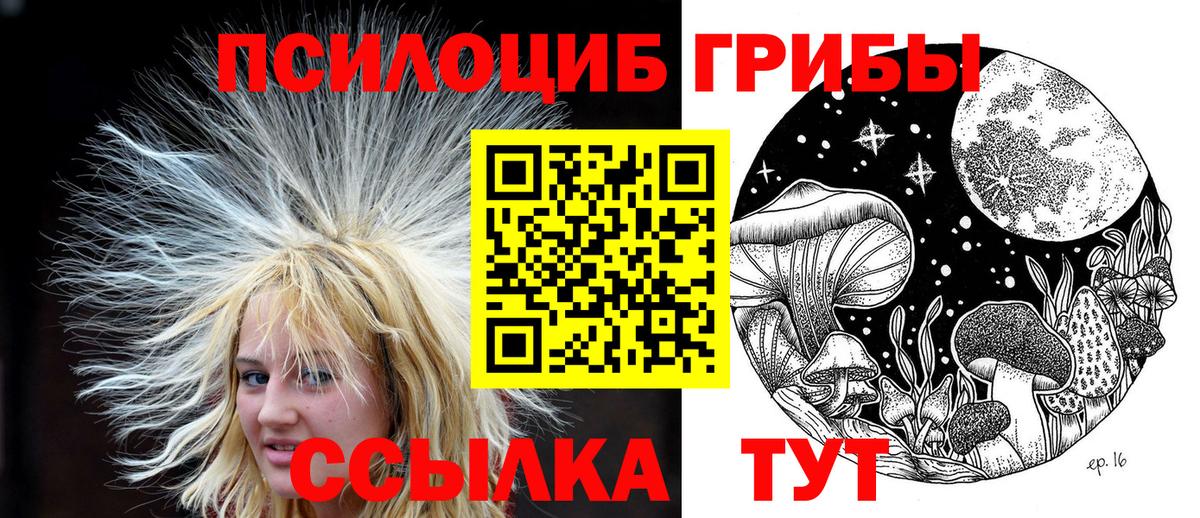 Свободный  Галлюциногенные грибы Cubensis  Вход с VPN 