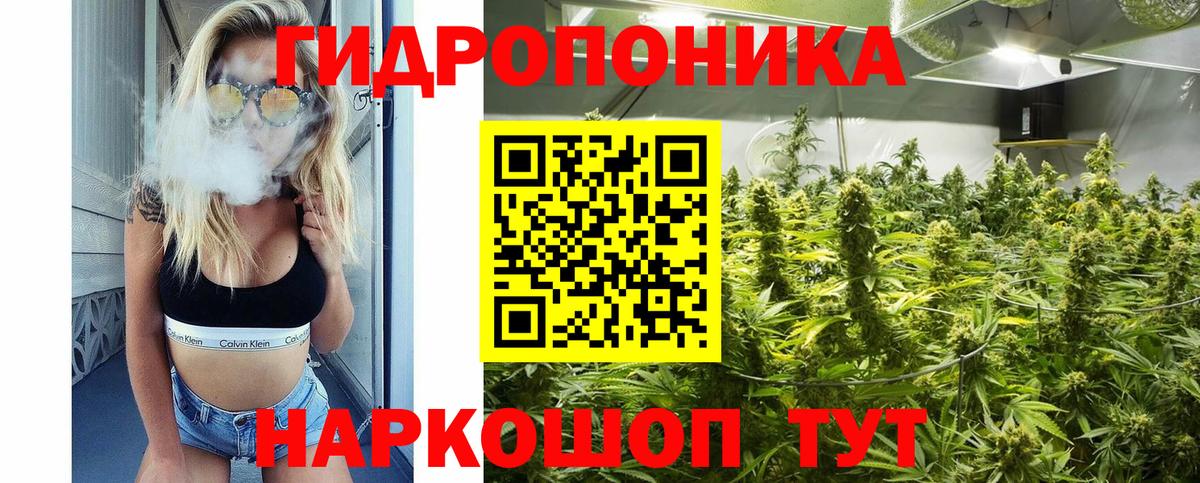 Канабис сатива Свободный